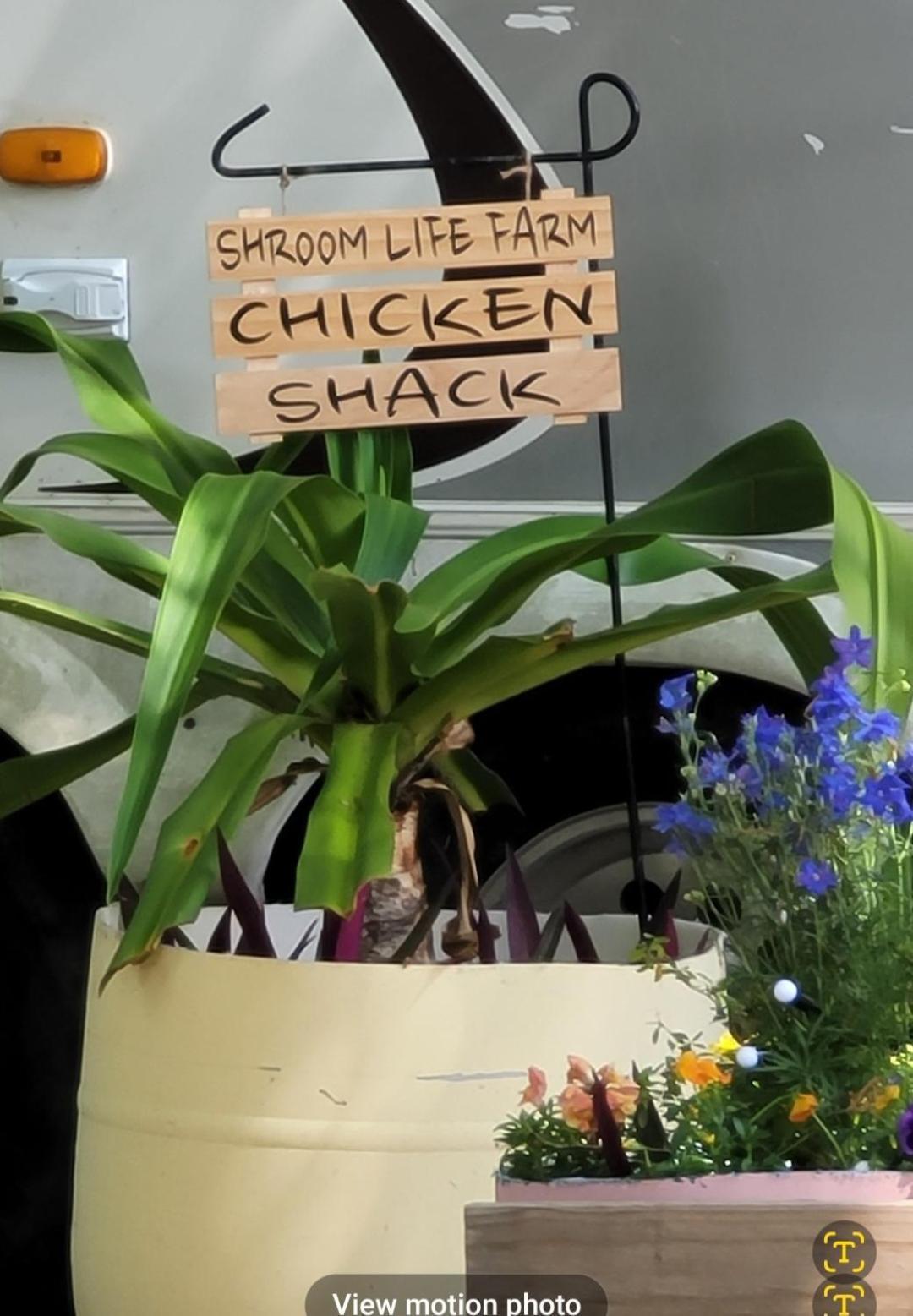 Shroom Life Farm Chicken Shack فورت مايرز الشمالية المظهر الخارجي الصورة